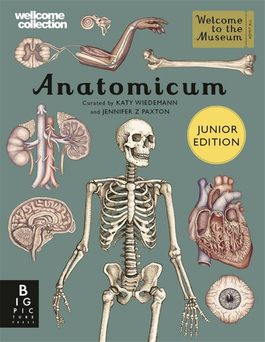 Anatomicum Cover Image