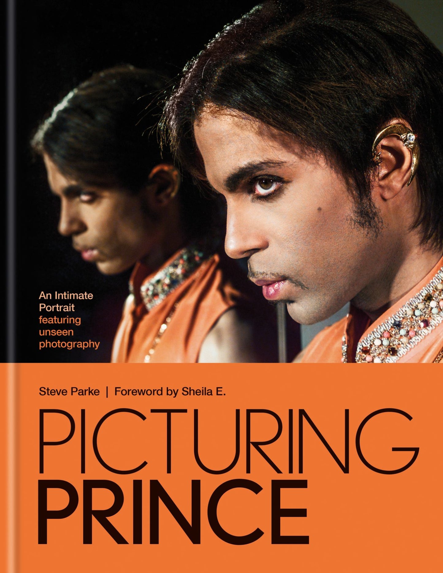Picturing Prince Cover Image
