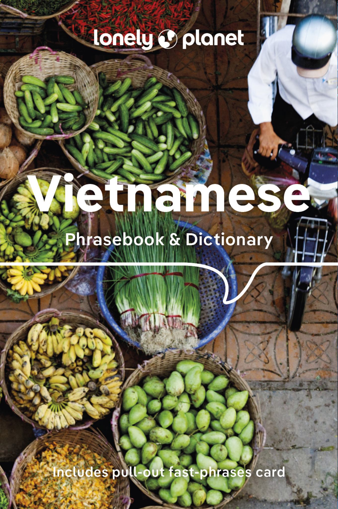 Lonely Planet Vietnamese Phrasebook and Dictionary Cover Image
