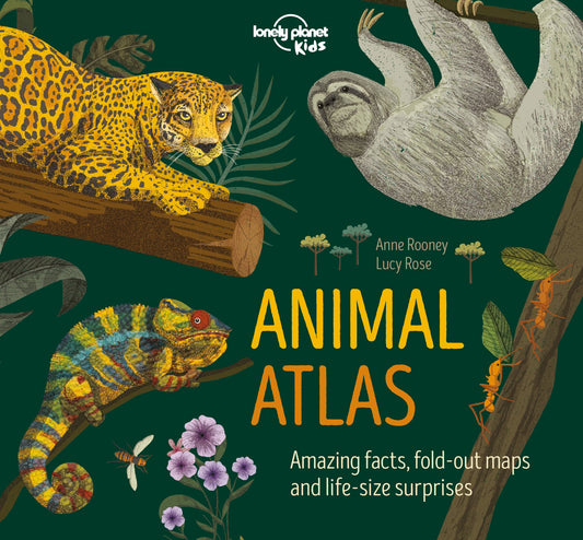 Animal Atlas  Cover Image