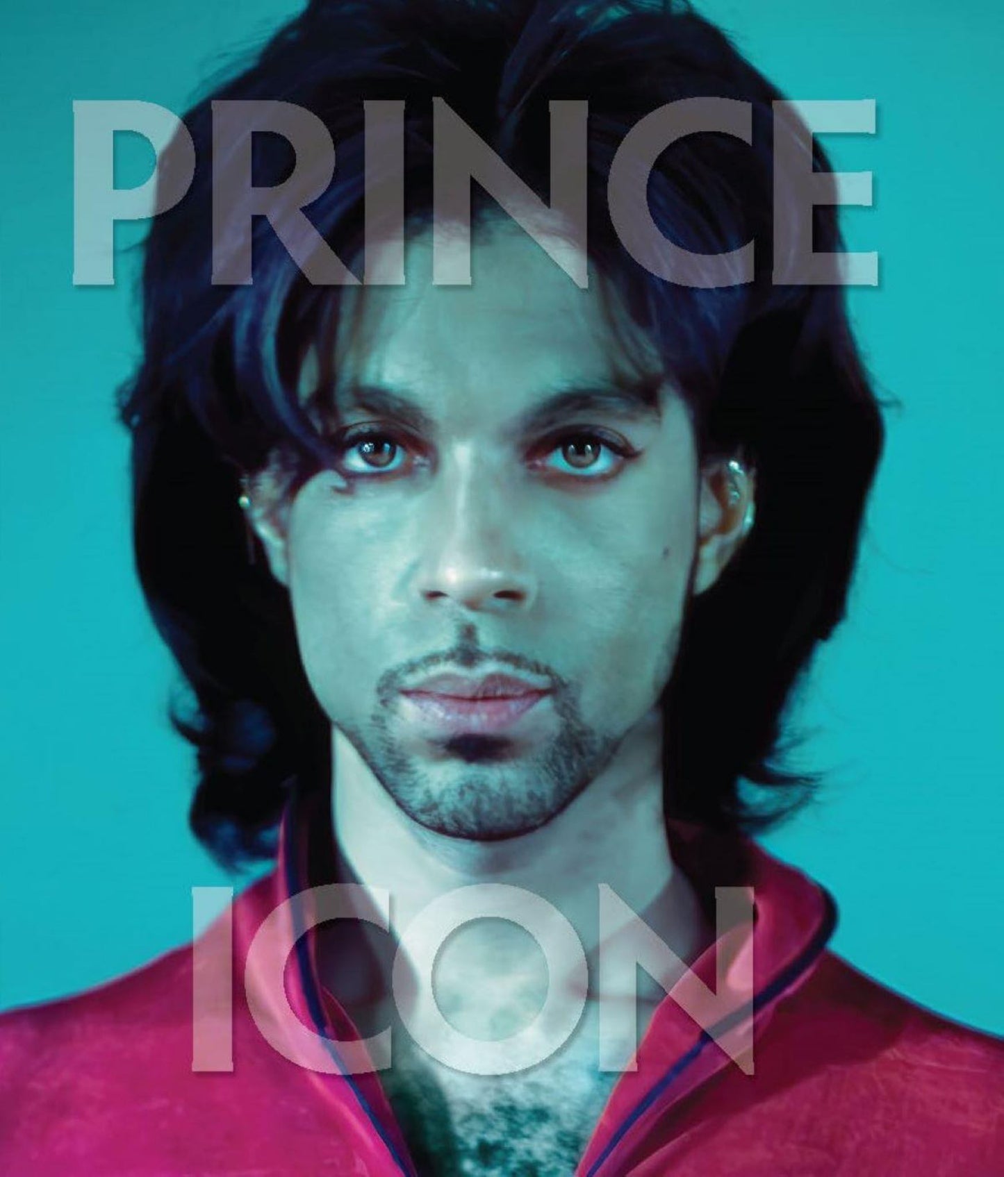 Prince Cover Image