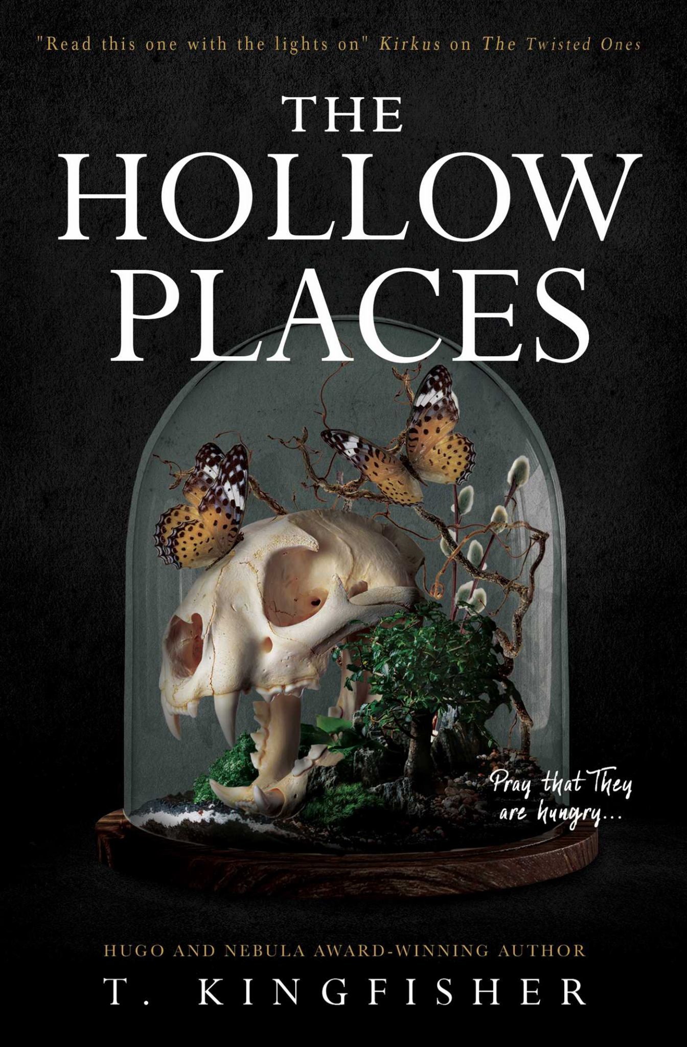 The Hollow Places Cover Image