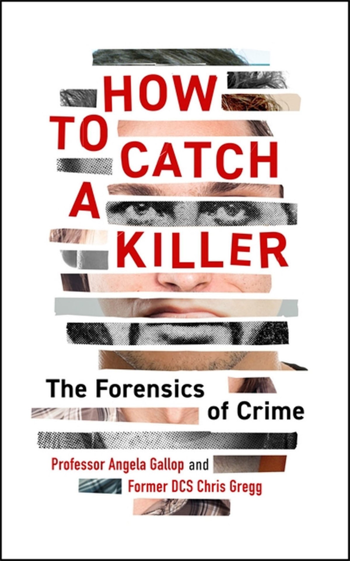 How to Catch a Killer Cover Image
