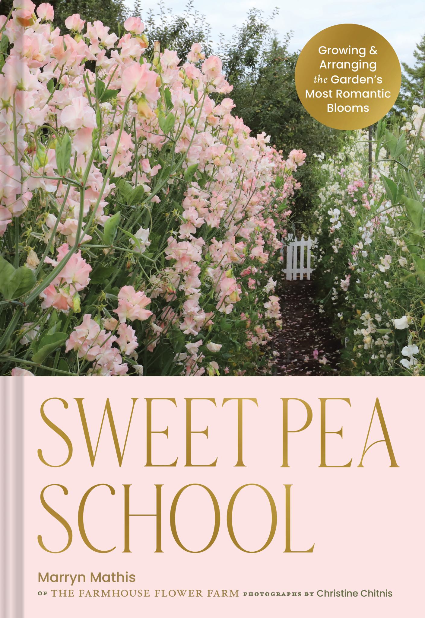 Sweet Pea School Cover Image