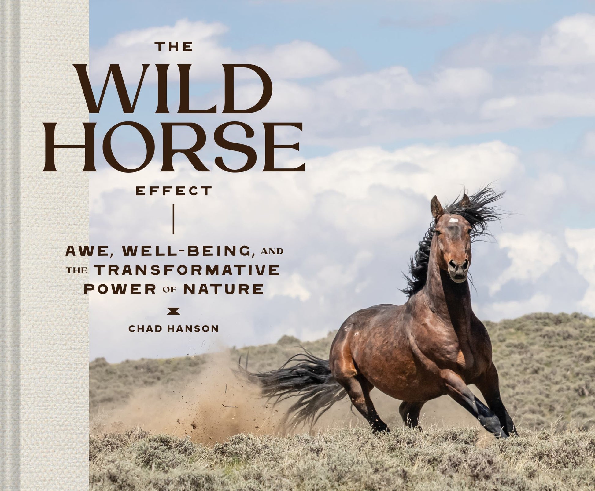 The Wild Horse Effect Cover Image