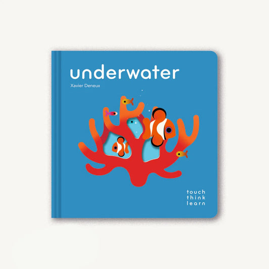 TouchThinkLearn: Underwater Cover Image