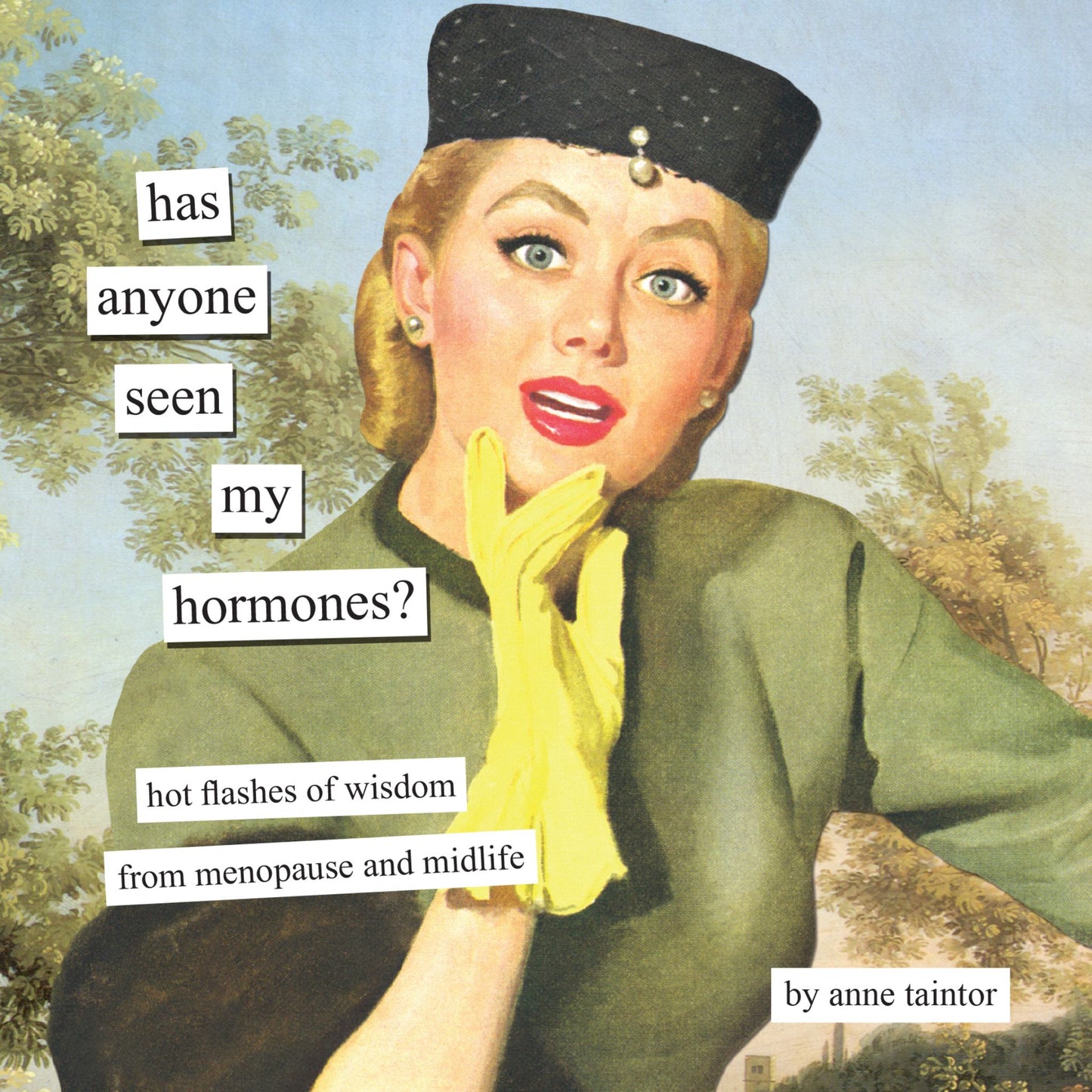 Has Anyone Seen My Hormones? Cover Image