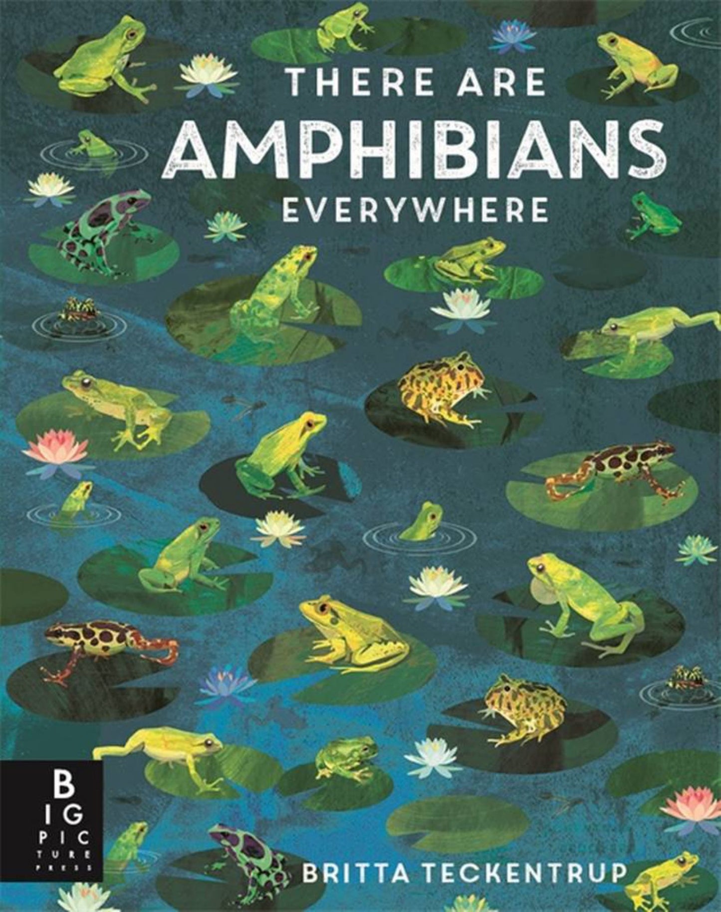 There Are Amphibians Everywhere Cover Image