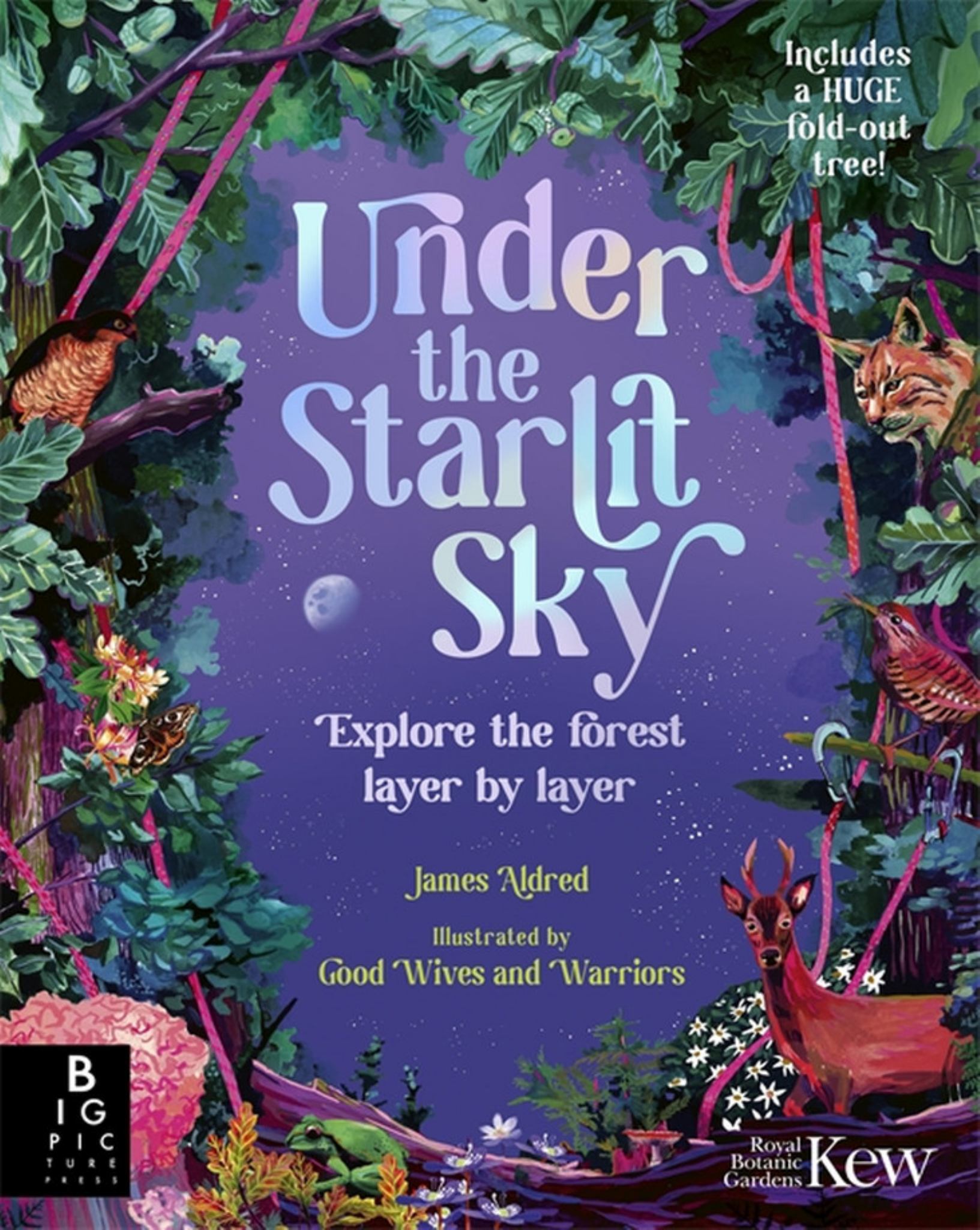 Under the Starlit Sky Cover Image