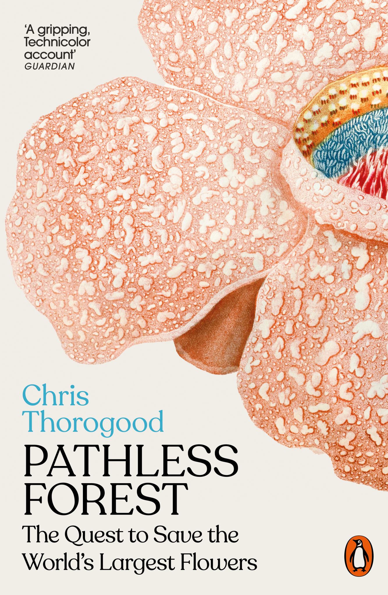 Pathless Forest Cover Image