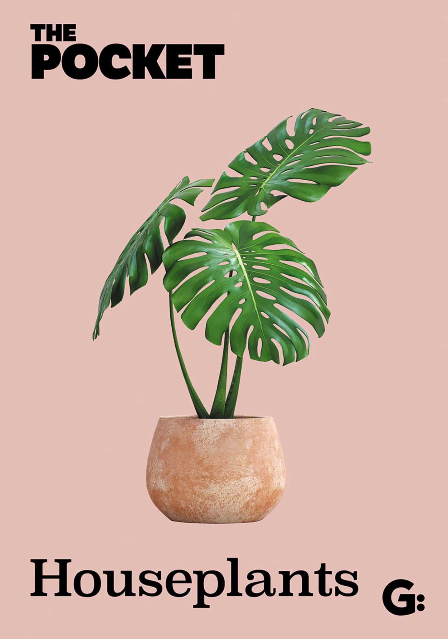 The Pocket Houseplants Cover Image