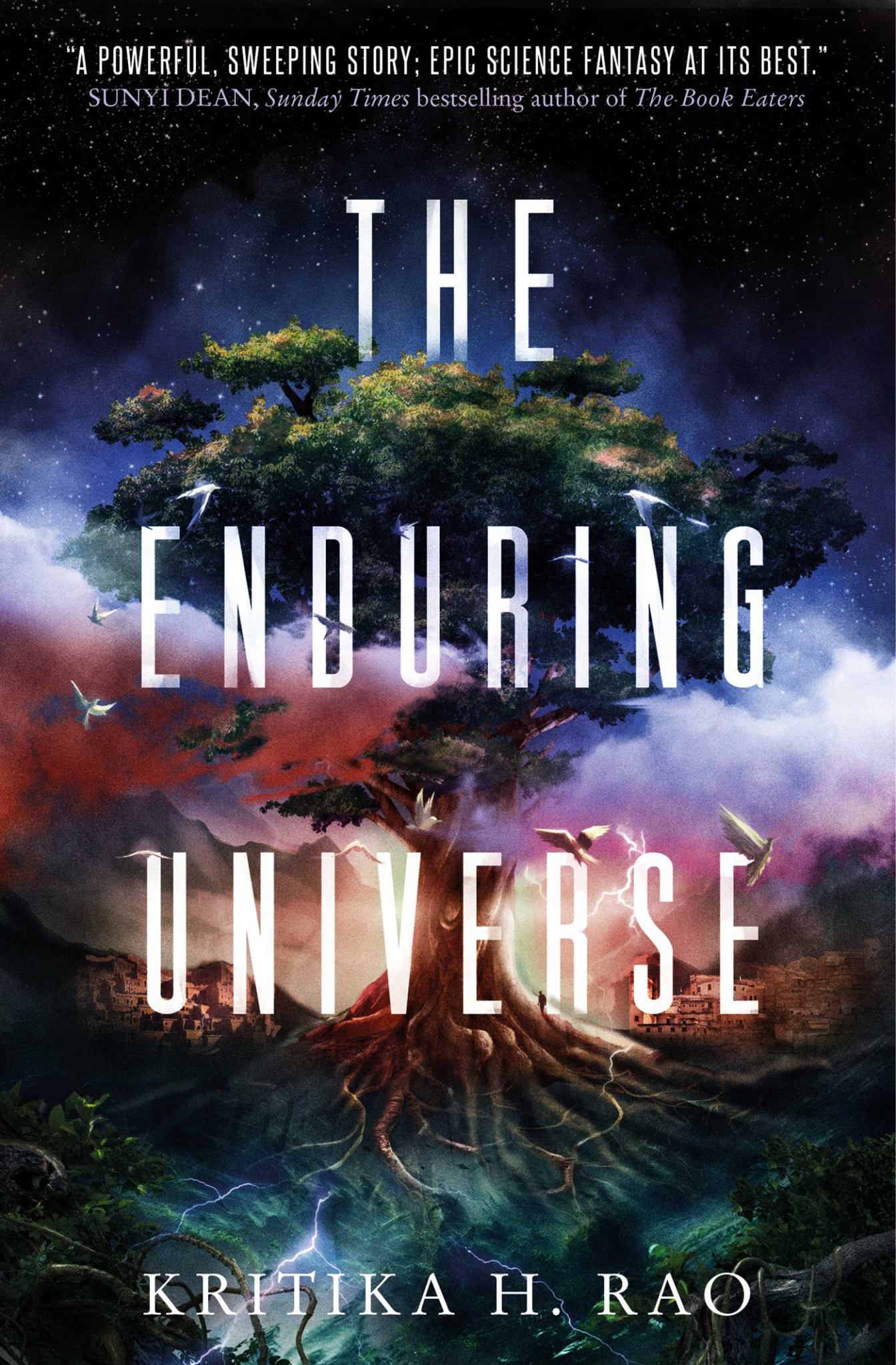 The Enduring Universe Cover Image