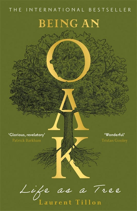 Being an Oak Cover Image