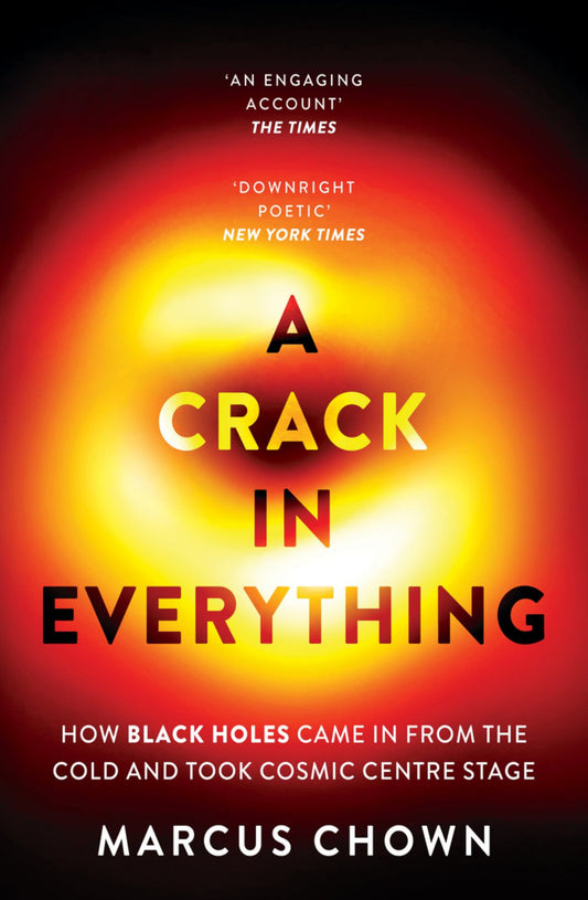 A Crack in Everything Cover Image