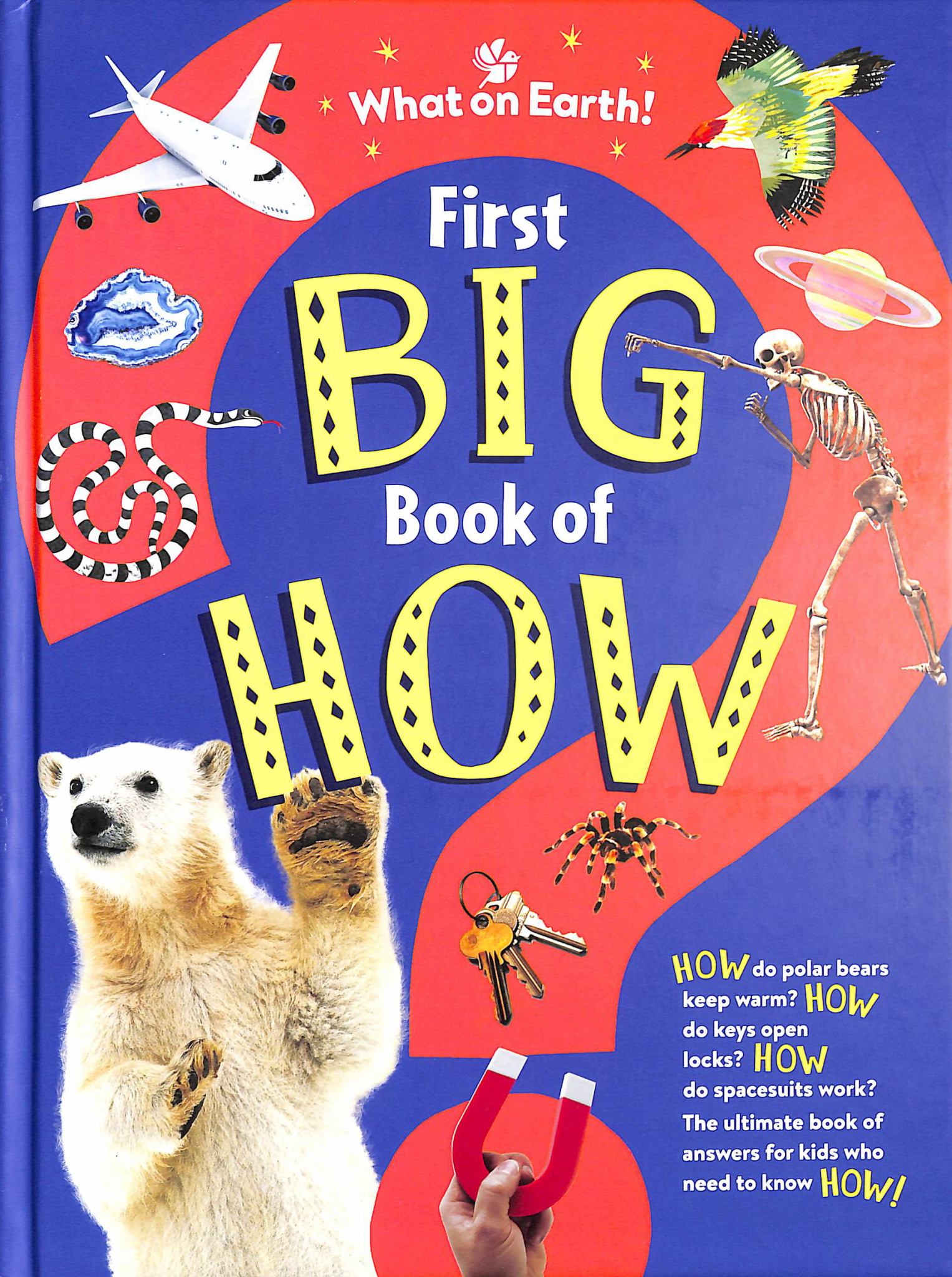 First Big Book of How Things Work Cover Image