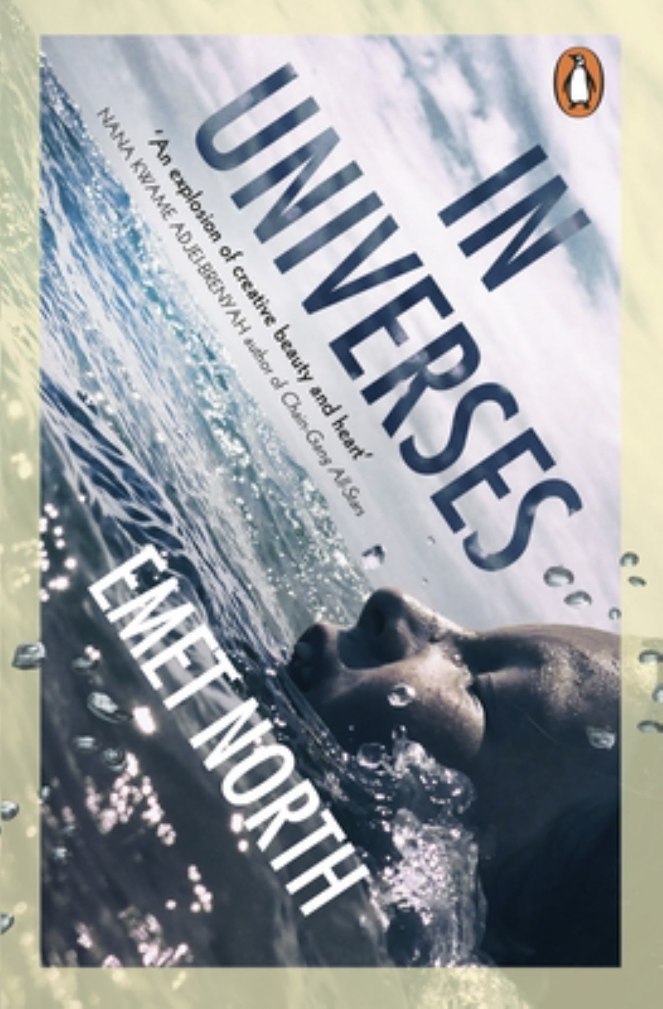 In Universes Cover Image