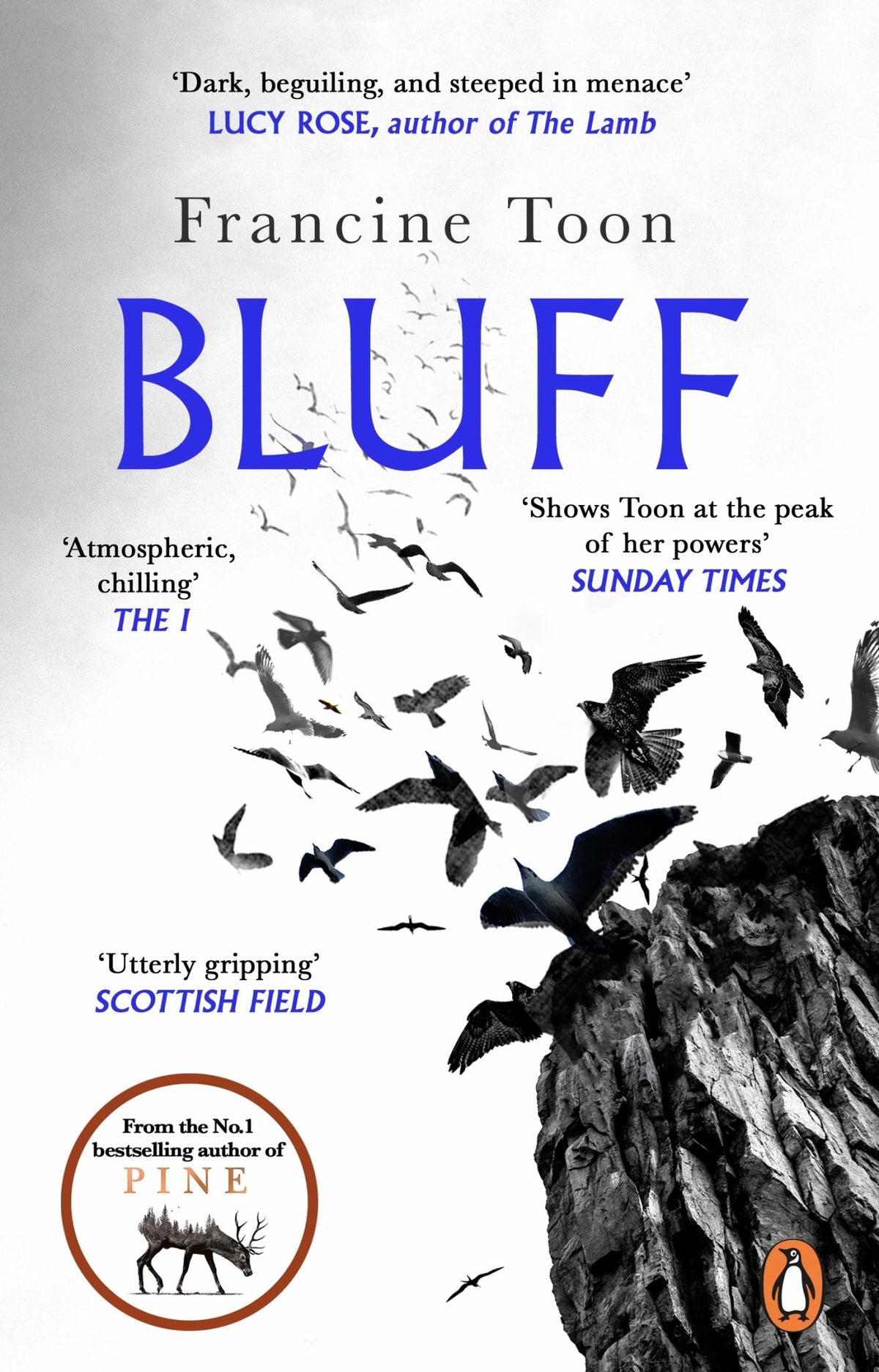 Bluff Cover Image