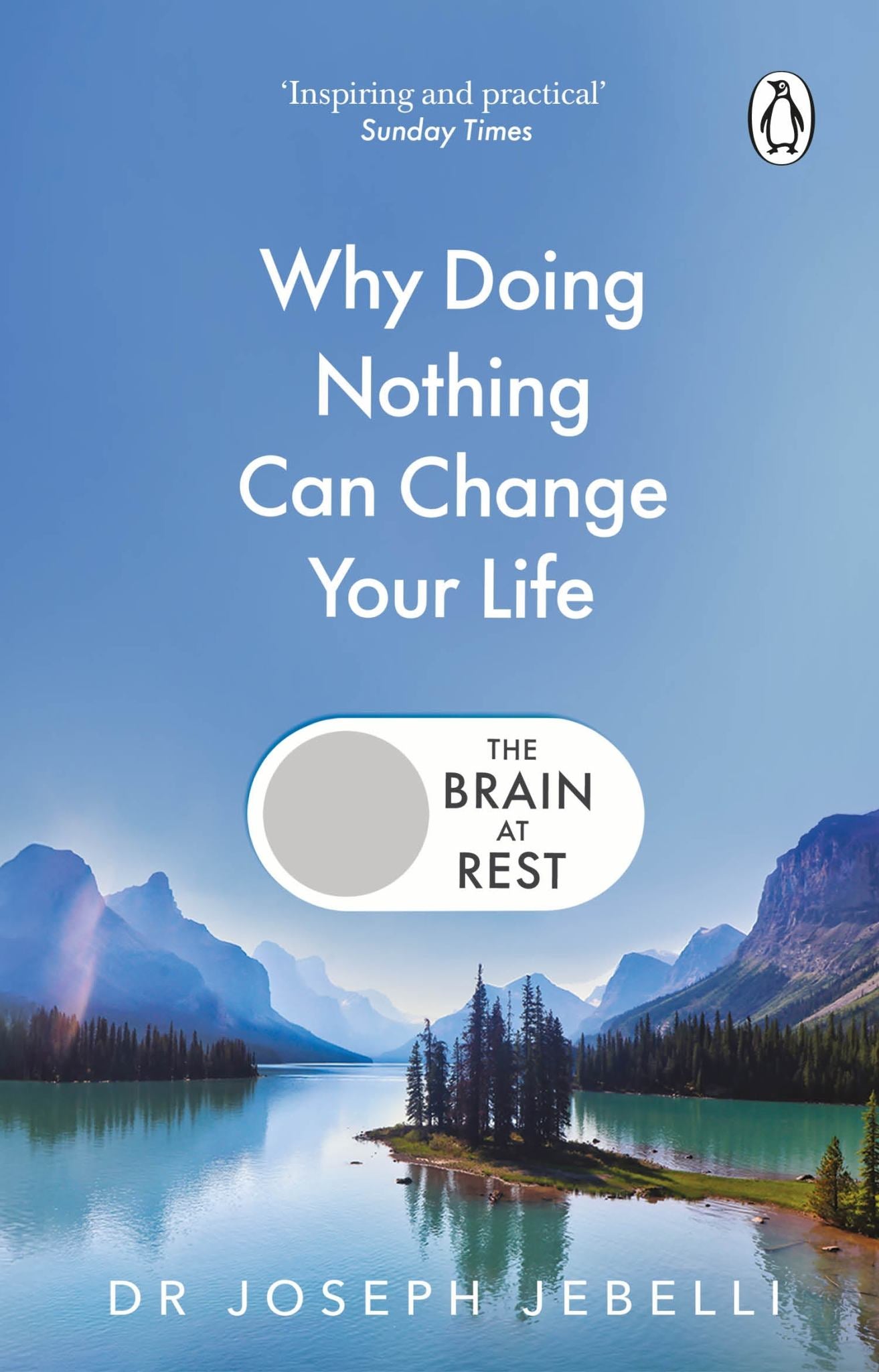 The Brain at Rest Cover Image