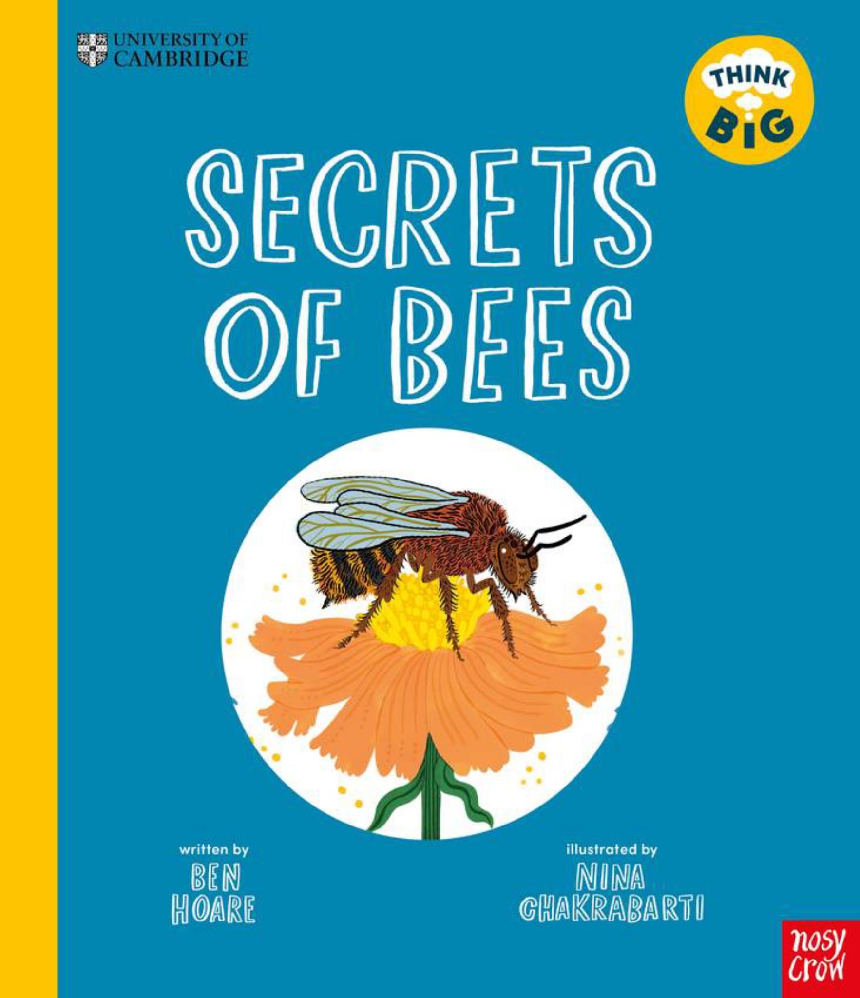Secrets of Bees Cover Image