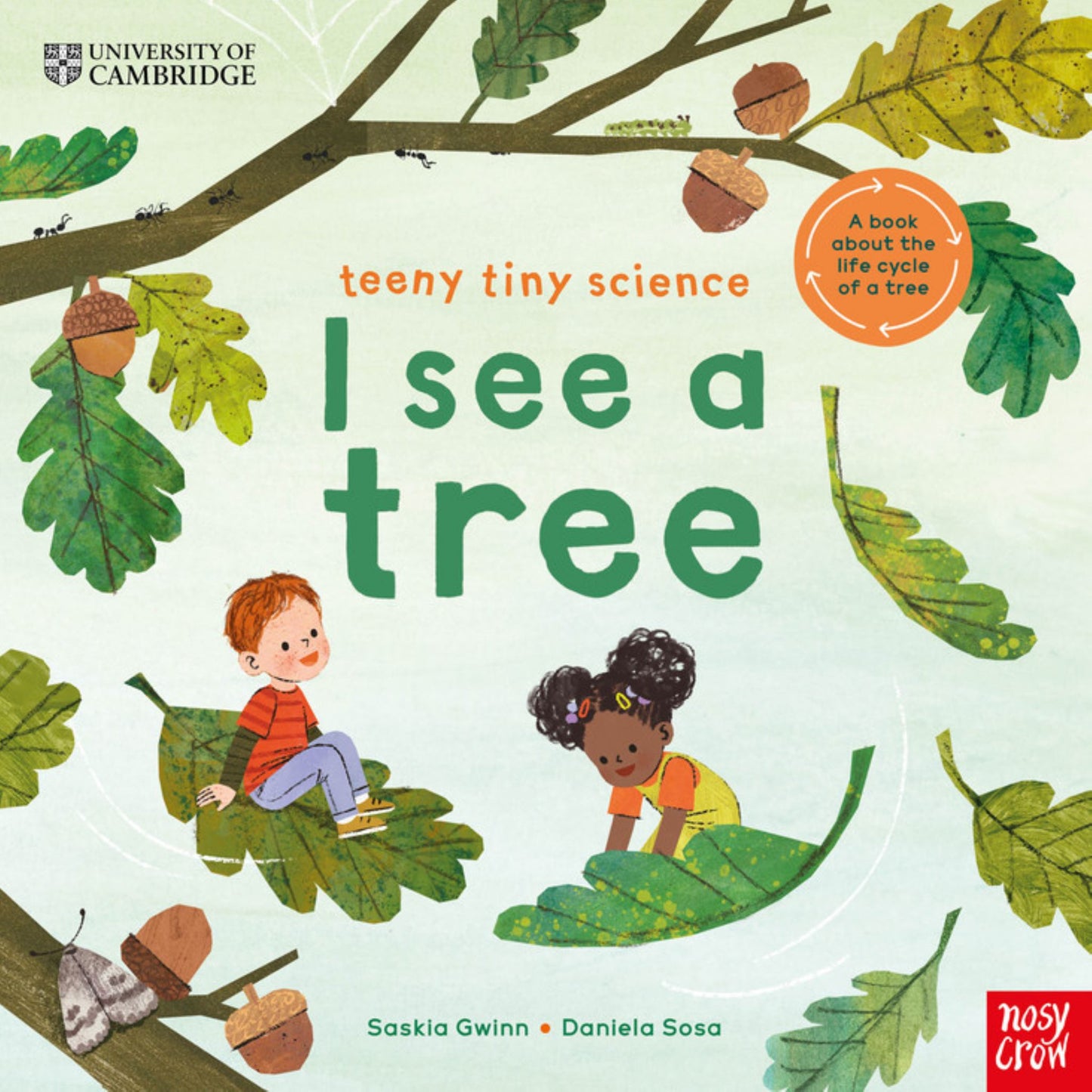 I See a Tree (Teeny Tiny Science) Cover Image