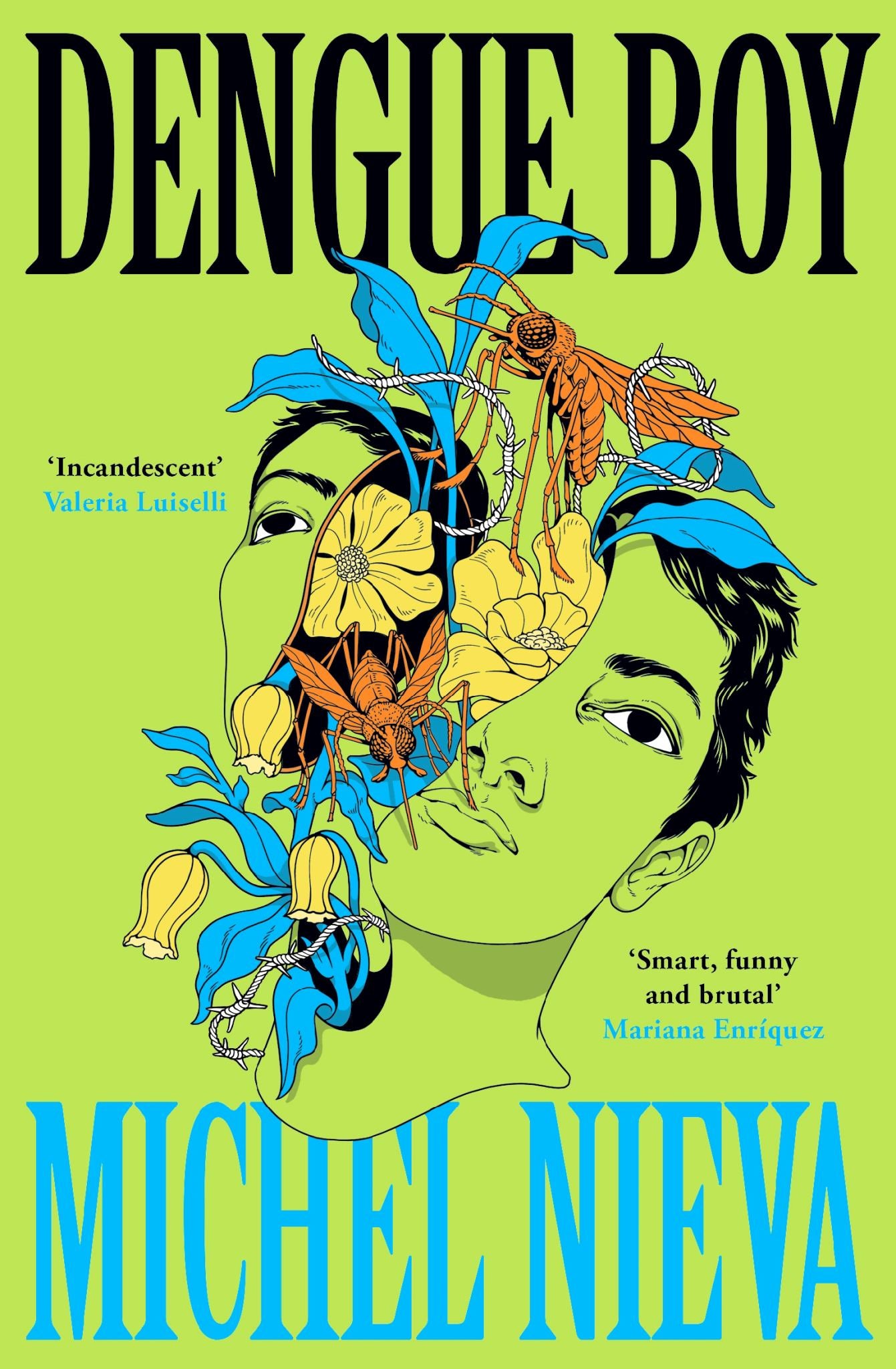 Dengue Boy Cover Image
