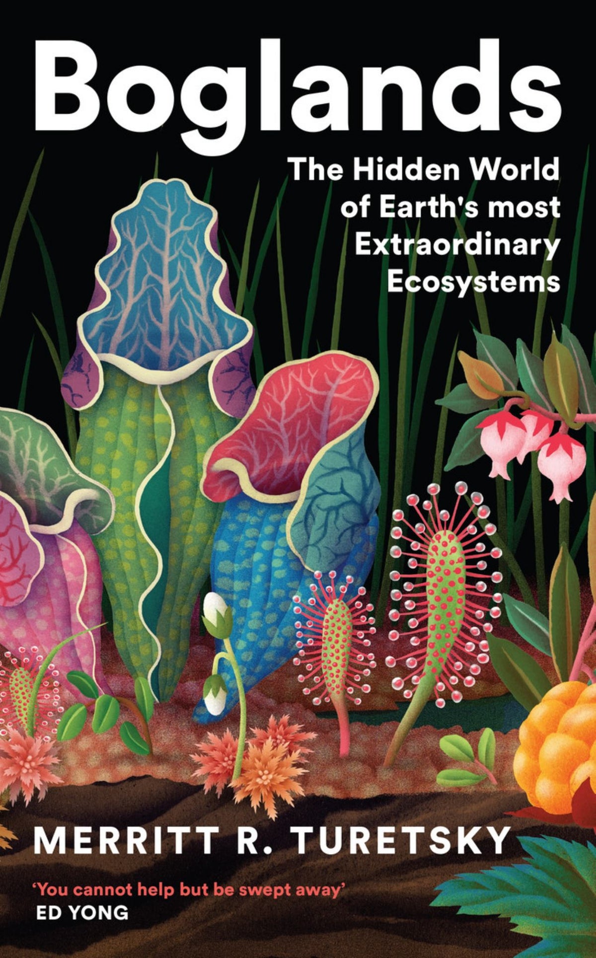 Boglands Cover Image