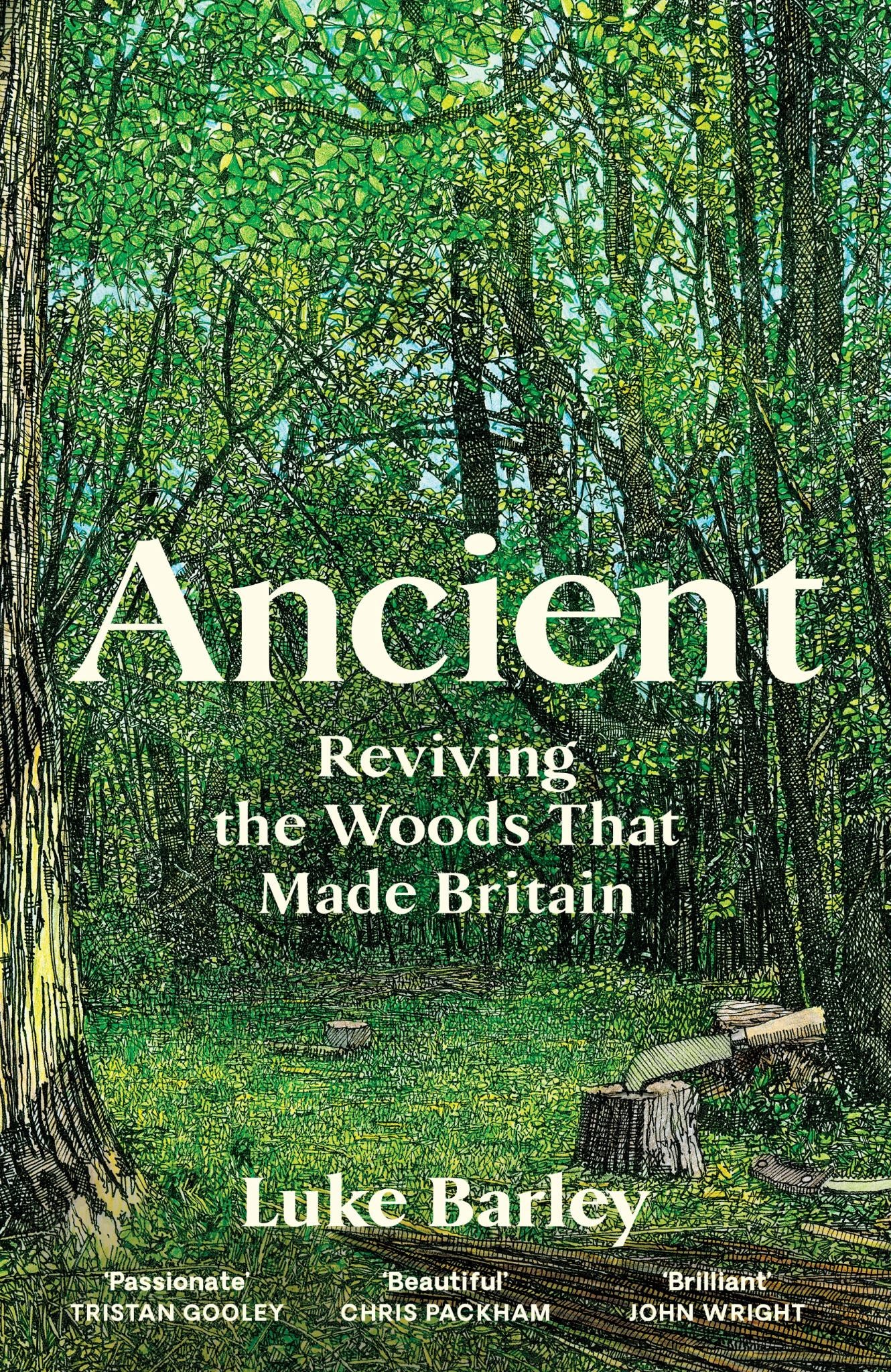 Ancient Cover Image