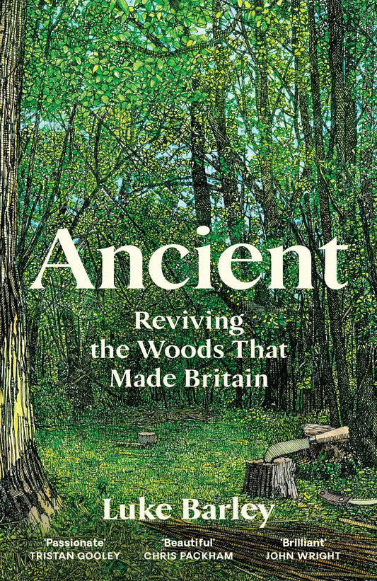 Ancient Cover Image