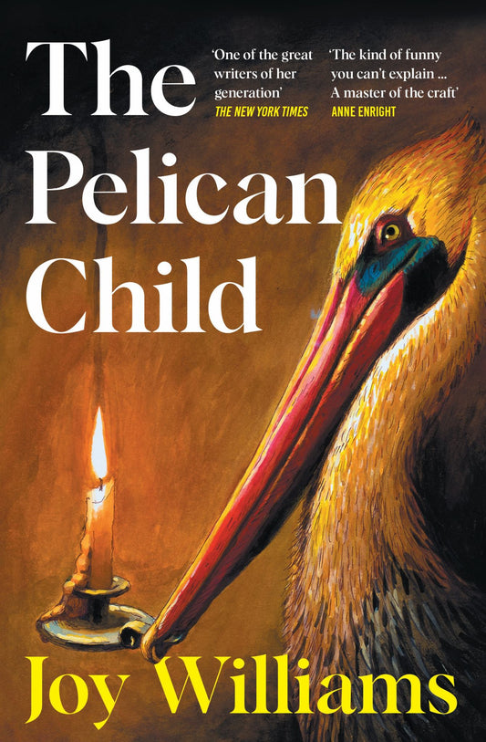 The Pelican Child Cover Image