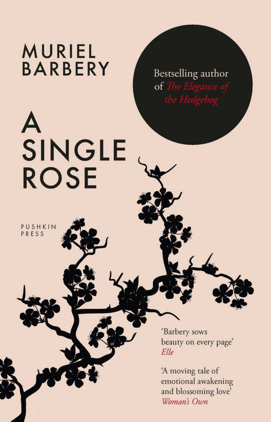 A Single Rose Cover Image