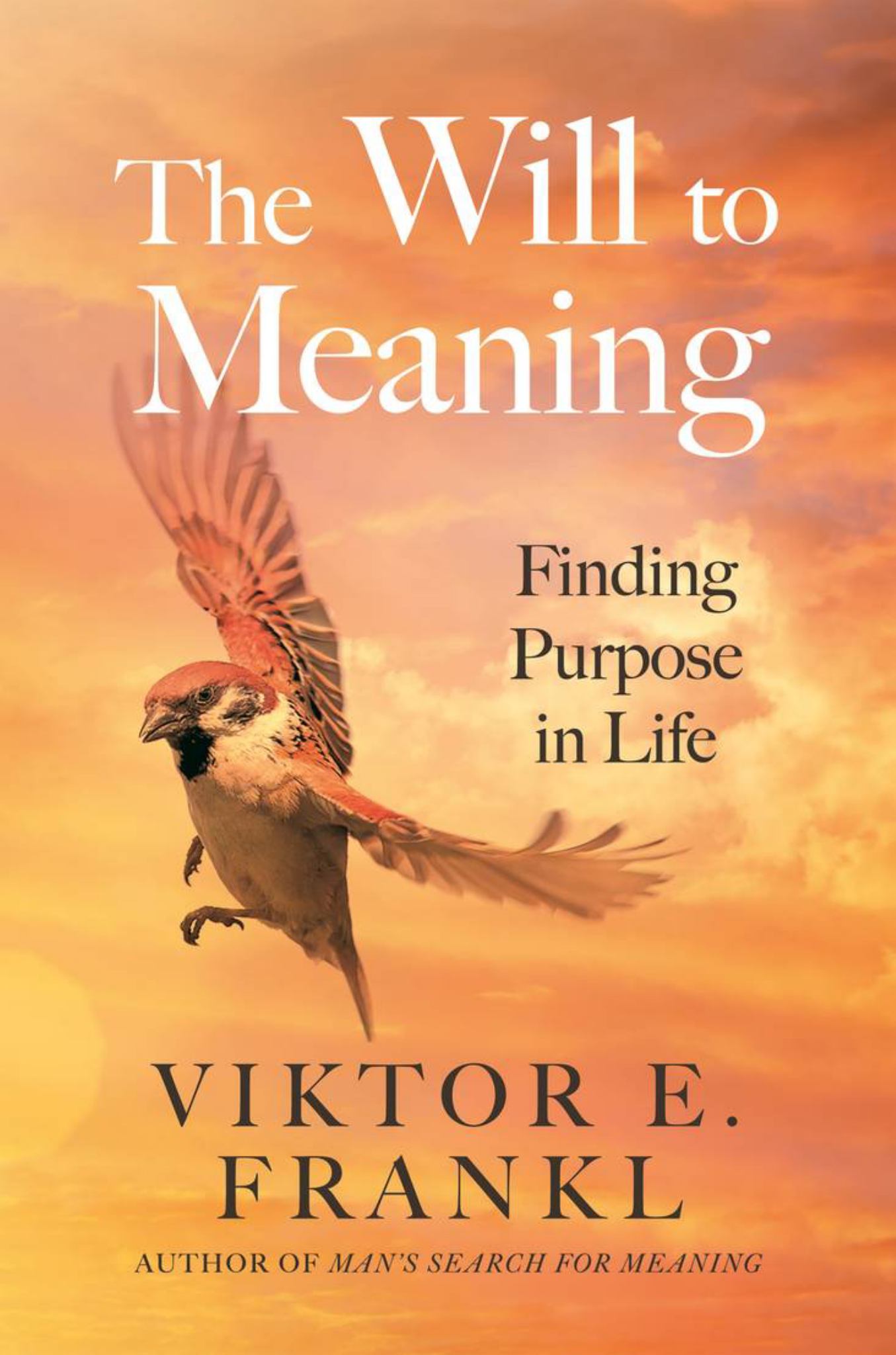 The Will to Meaning Cover Image
