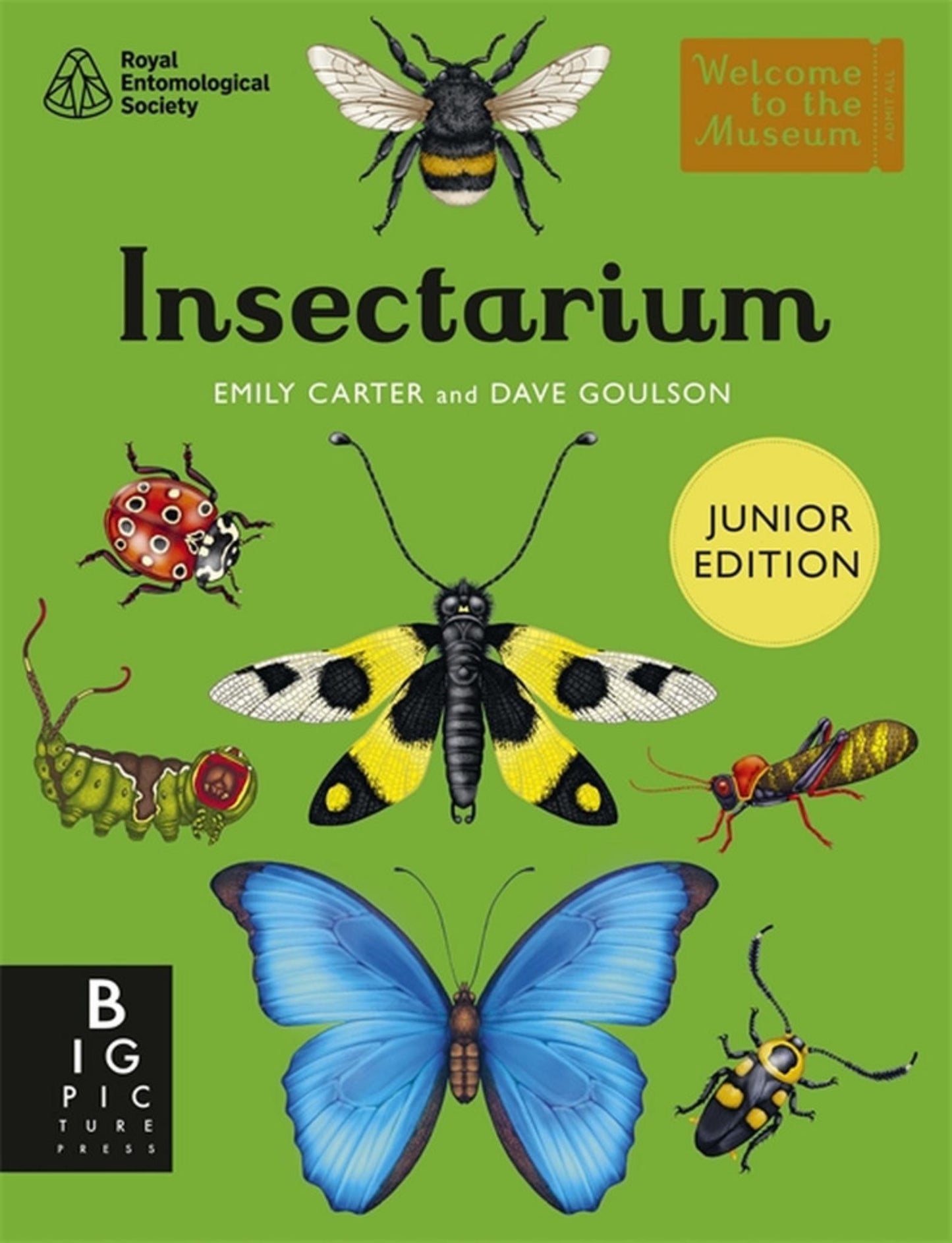 Insectarium (Junior Edition) Cover Image
