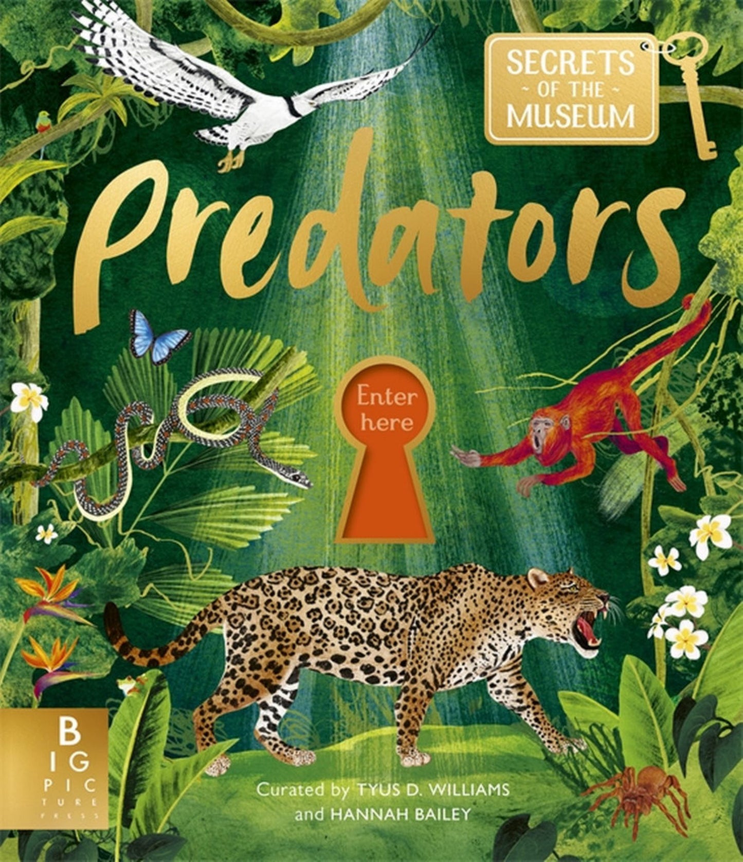 Predators (Secrets of the Museum) Cover Image