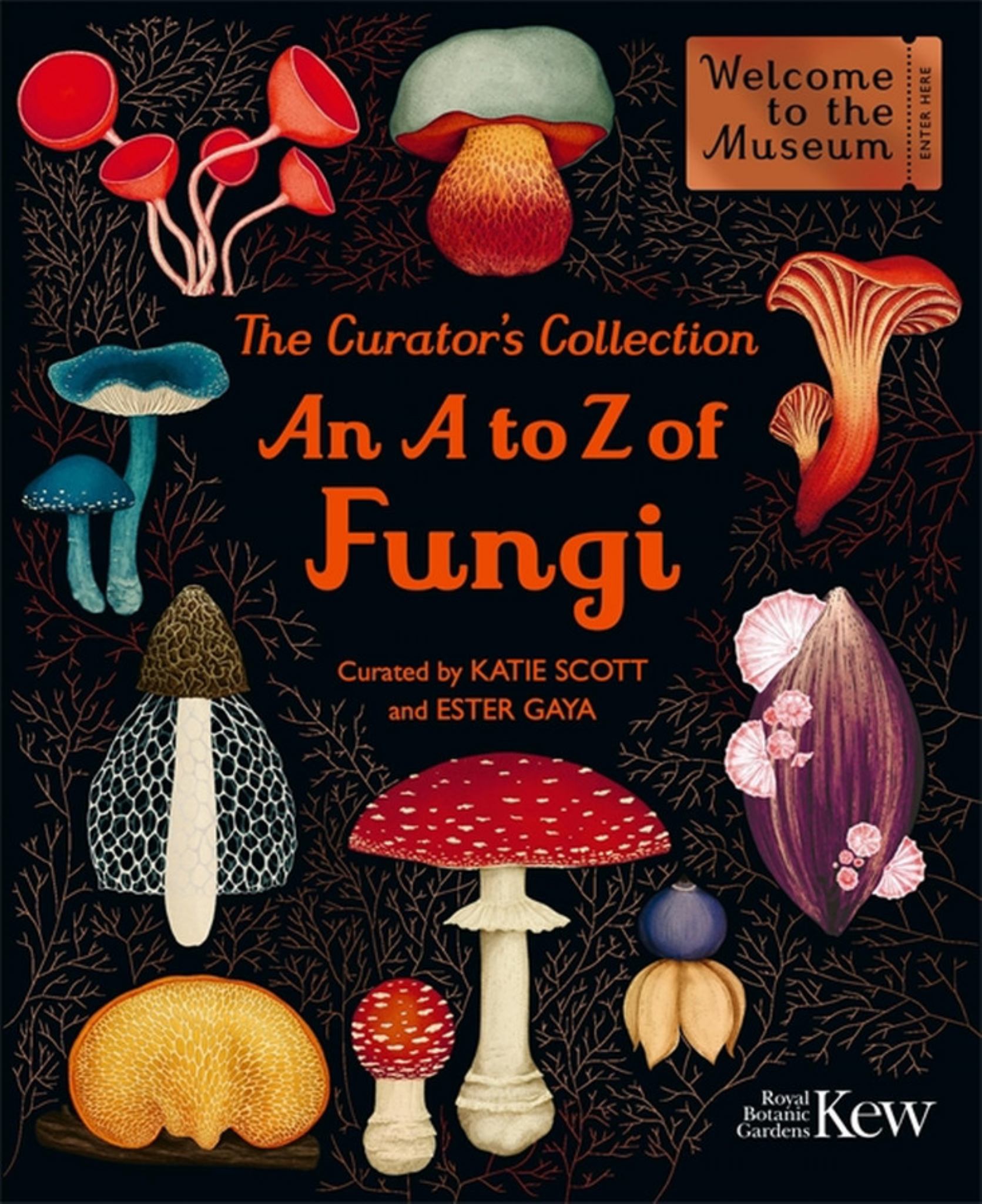 The Curator's Collection: an a to Z of Fungi Cover Image
