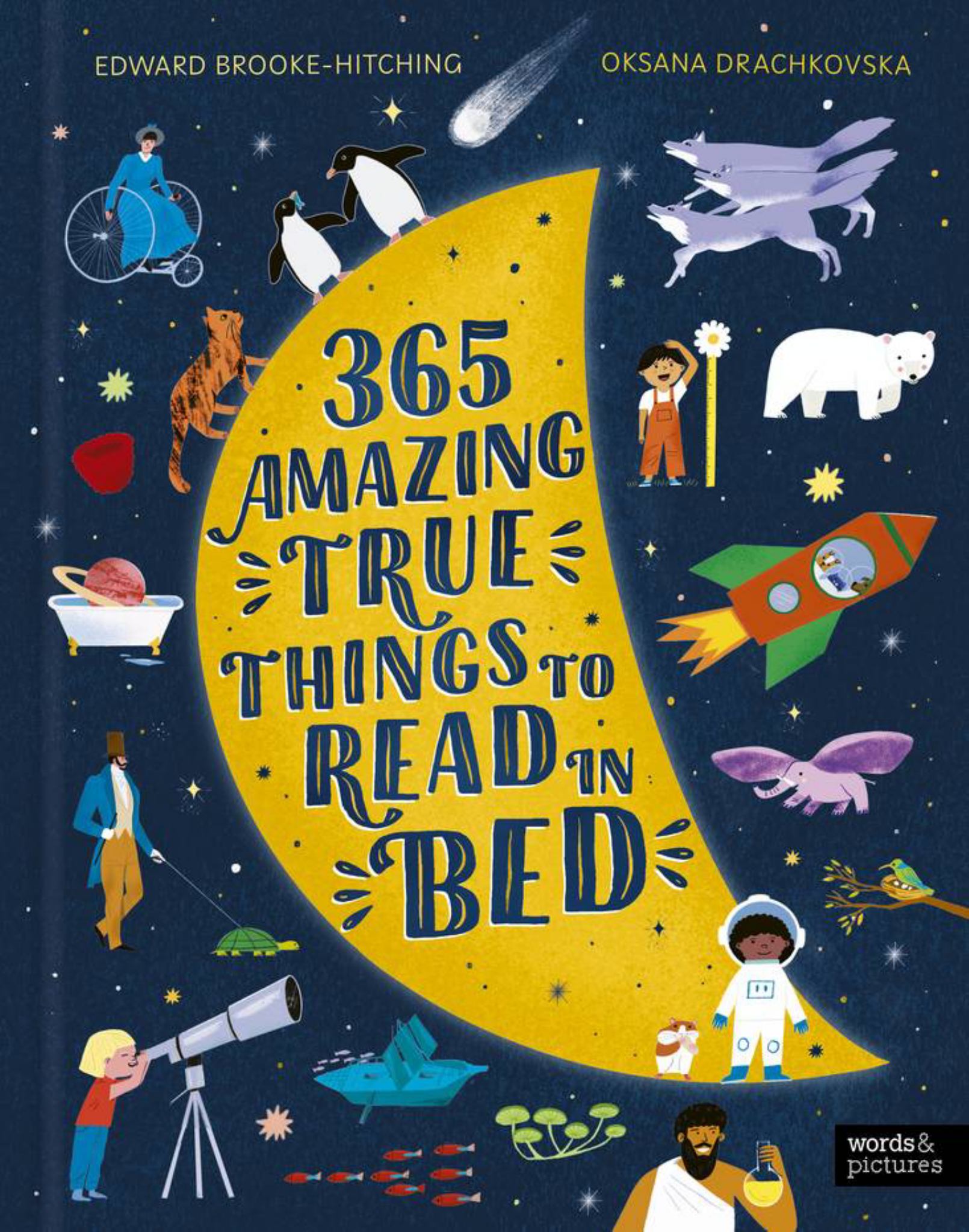 365 Amazing True Things to Read in Bed Cover Image