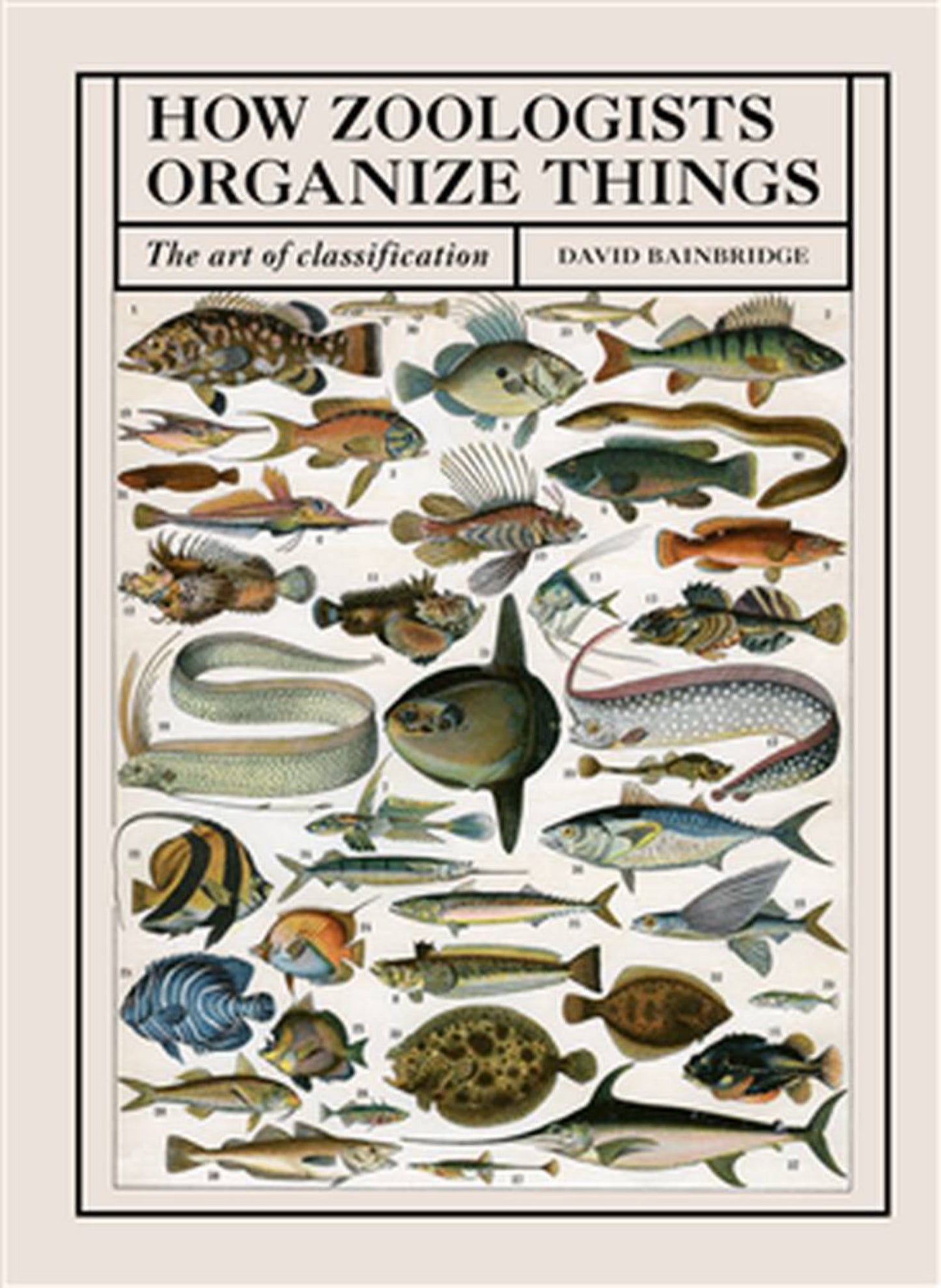 How Zoologists Organize Things Cover Image