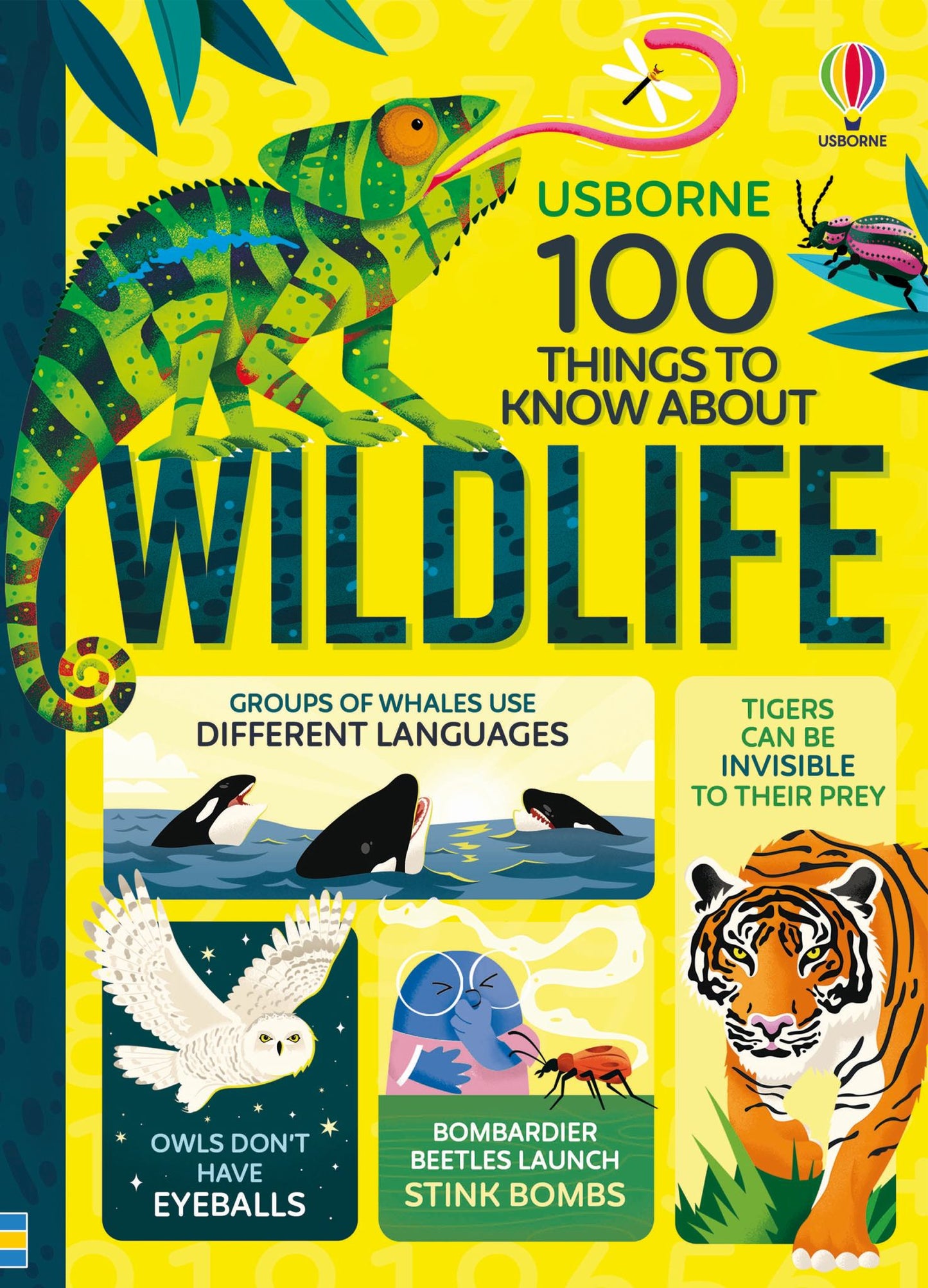 100 Things to Know about Wildlife Cover Image