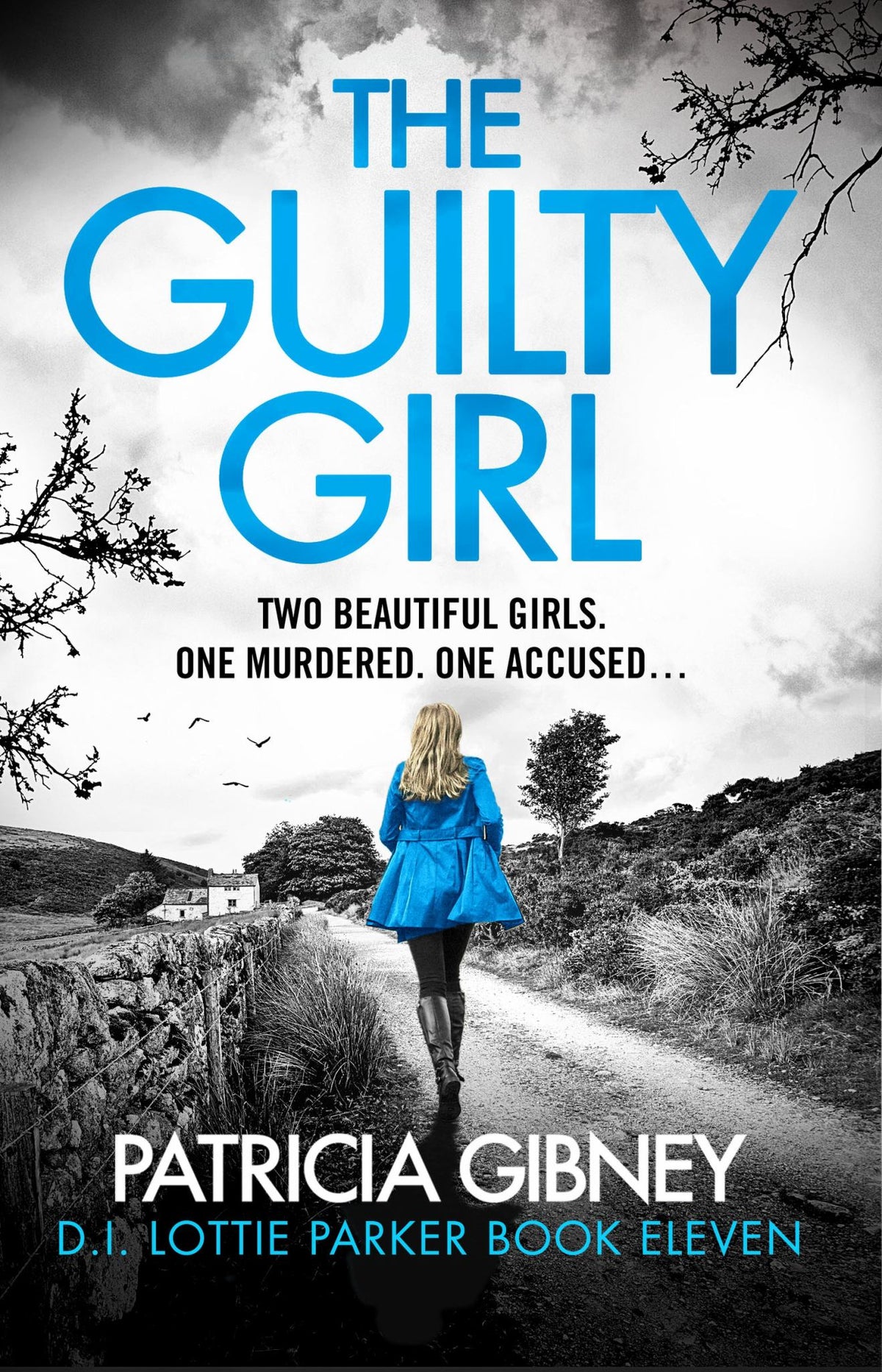 The Guilty Girl Cover Image