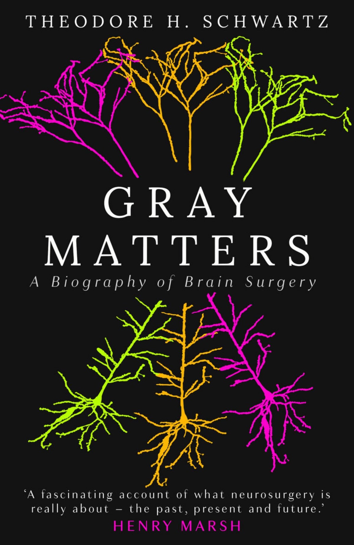 Gray Matters Cover Image