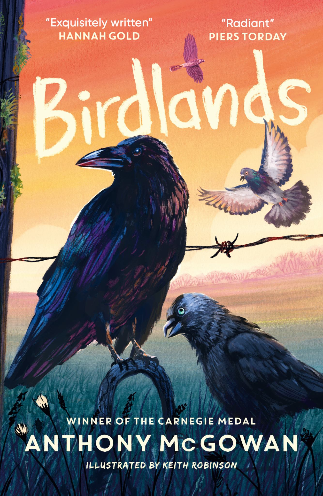 Birdlands Cover Image