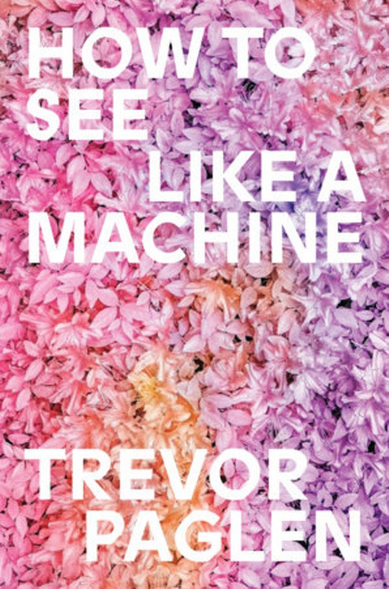 How to See Like a Machine Cover Image