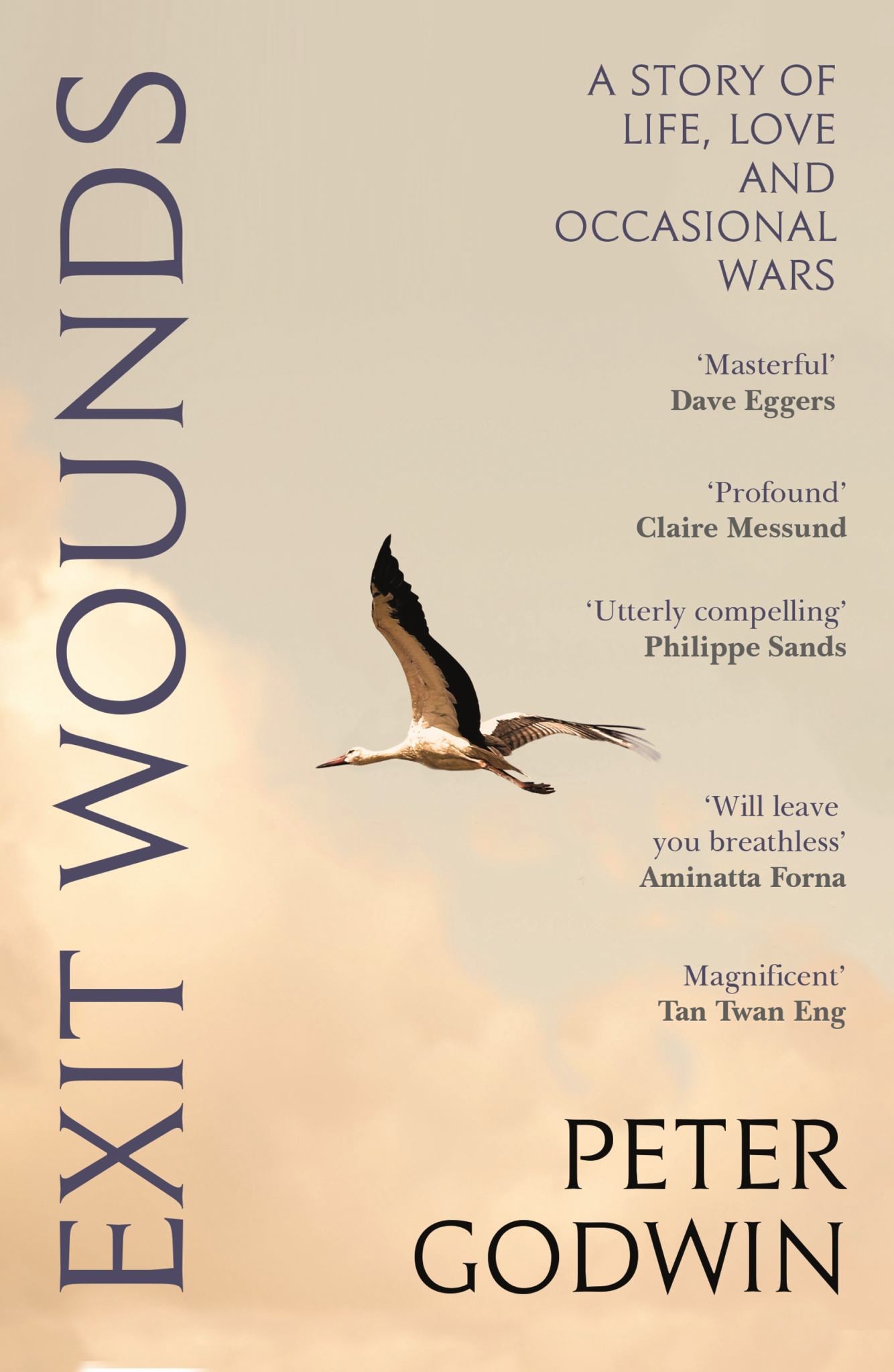 Exit Wounds Cover Image