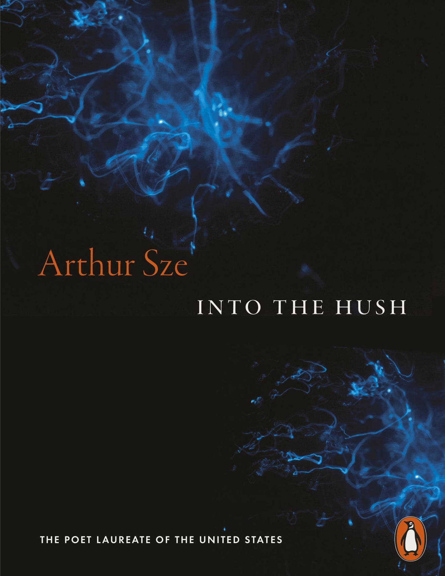 Into the Hush Cover Image