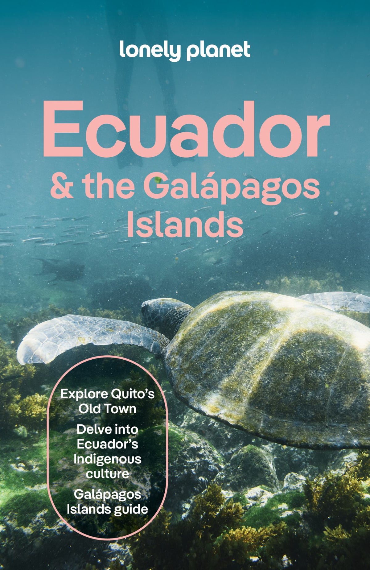 Lonely Planet Ecuador and the Galapagos Islands Cover Image