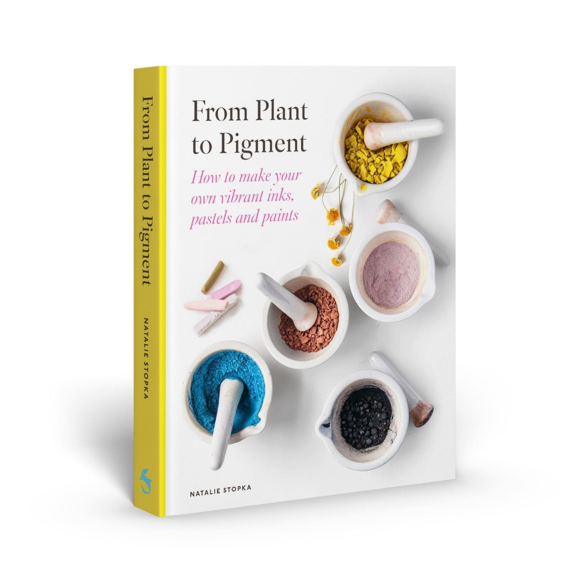 From Plant to Pigment Cover Image