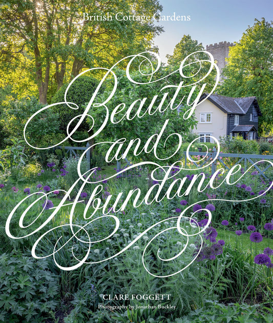 Beauty and Abundance Cover Image