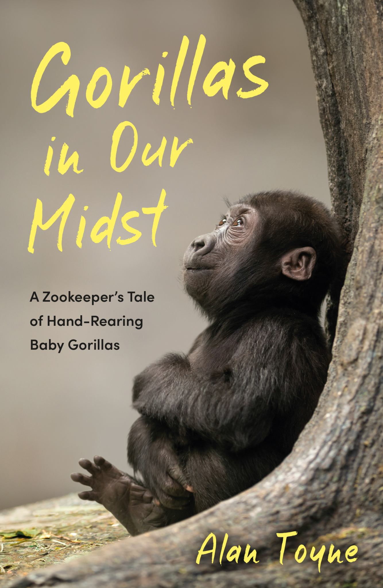 Gorillas in Our Midst Cover Image