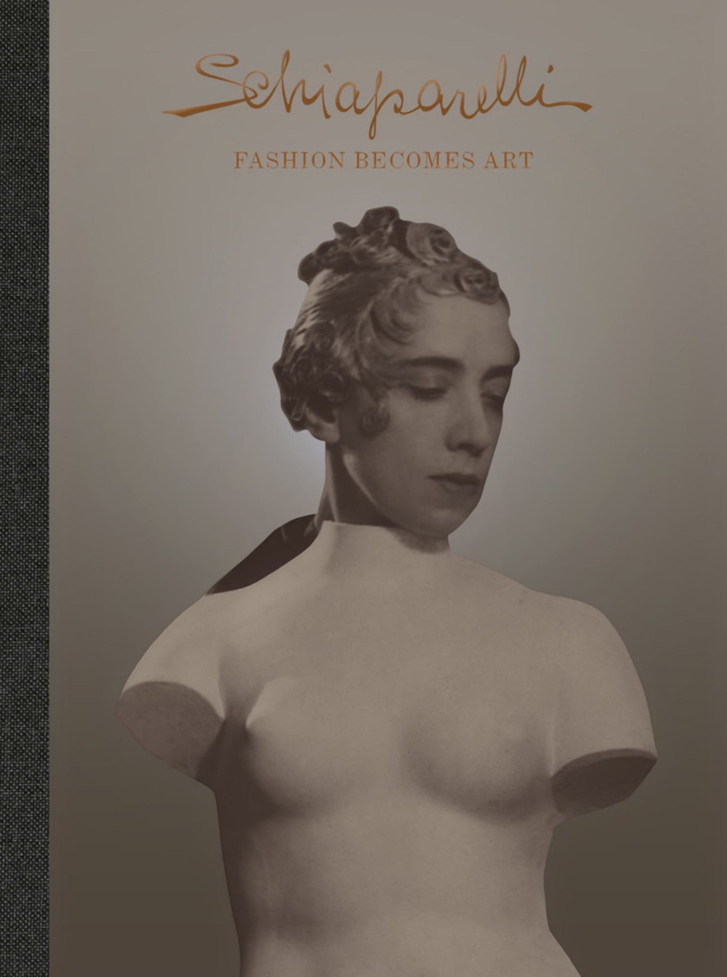 Schiaparelli Cover Image