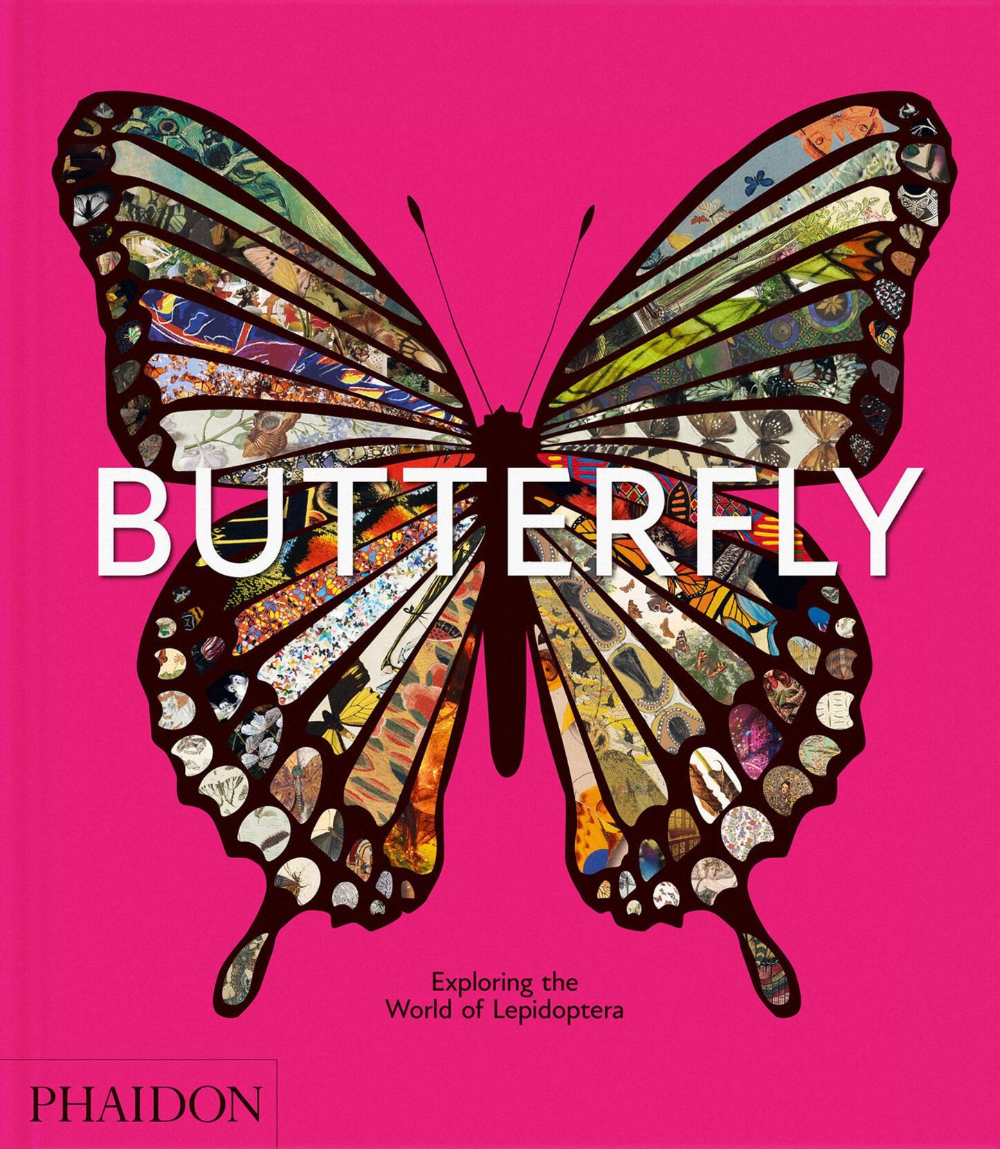 Butterfly Cover Image