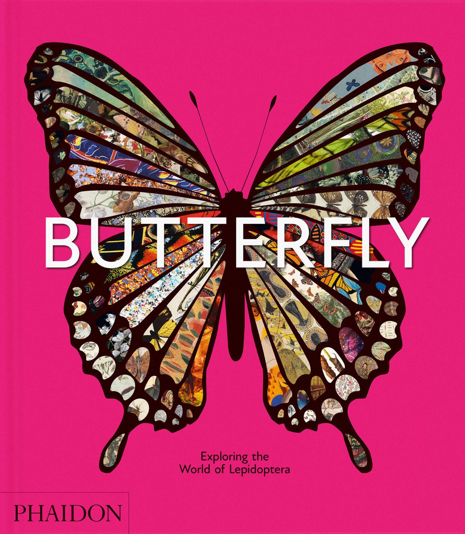 Butterfly Cover Image